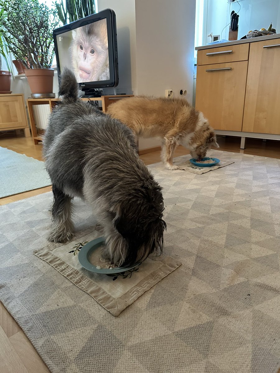 Antti Sallinen 🇫🇮🇺🇦 tweet media