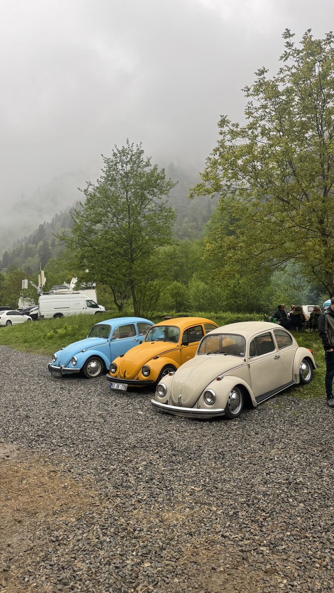 berkan53_'s tweet image. 