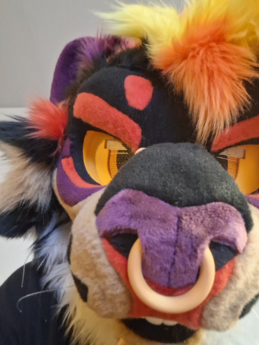 BAD CATTITUDE 🔜 FWA tweet media