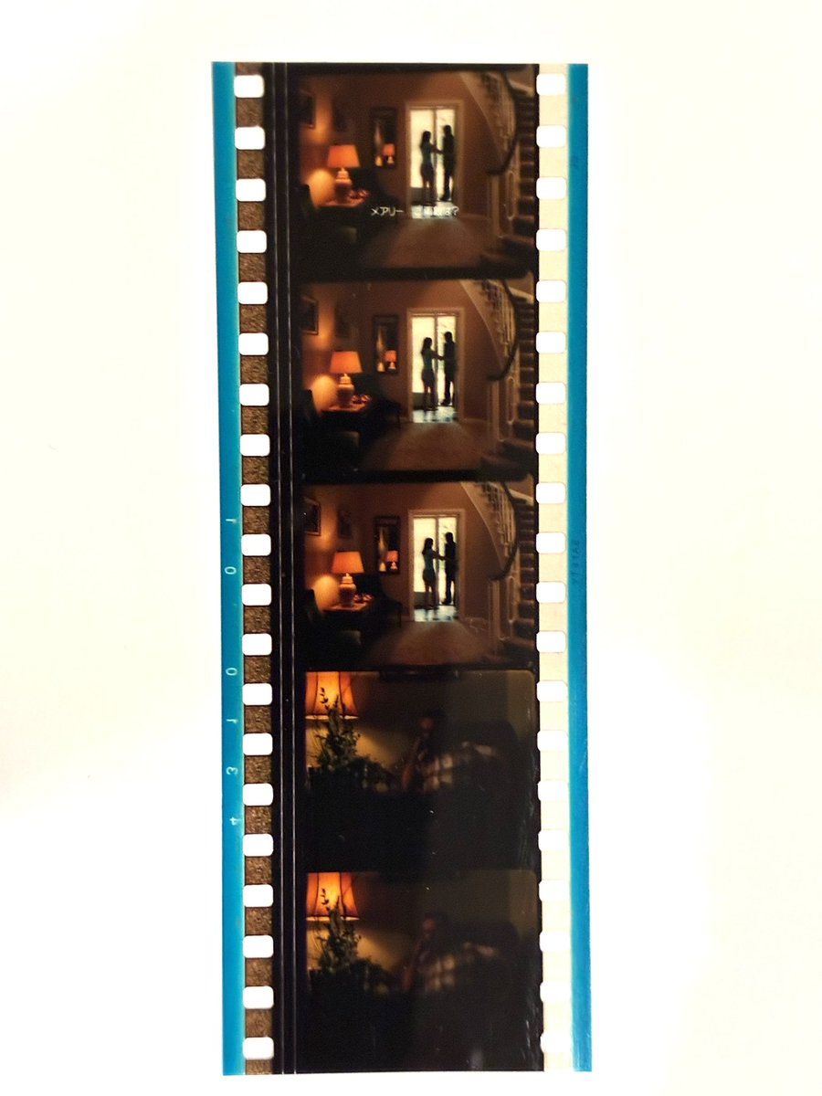 ヴァージンスーサイズ 入場者特典　35mmフィルム ヴァージン・スーサイズ』公開当時の35mmフィルムの入場者プレゼント