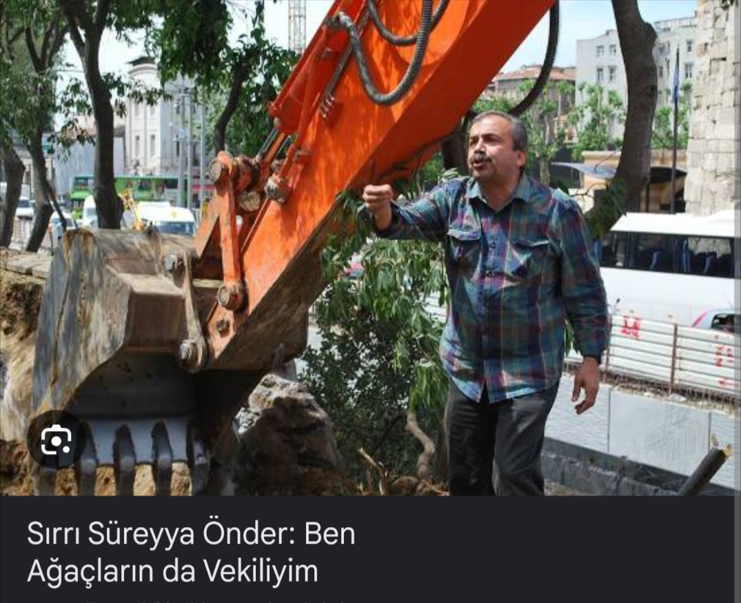 Tansu Günay tweet media