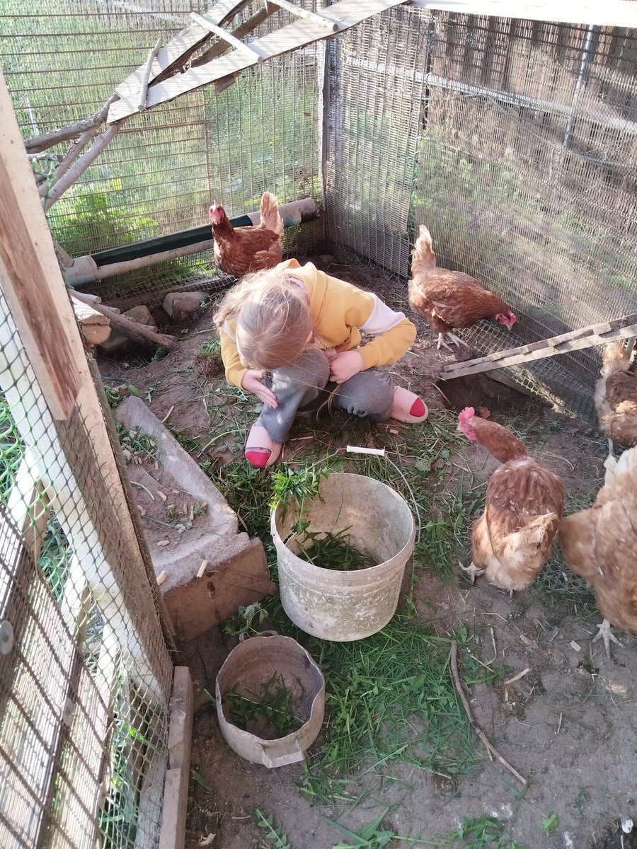 У пошыку яяк