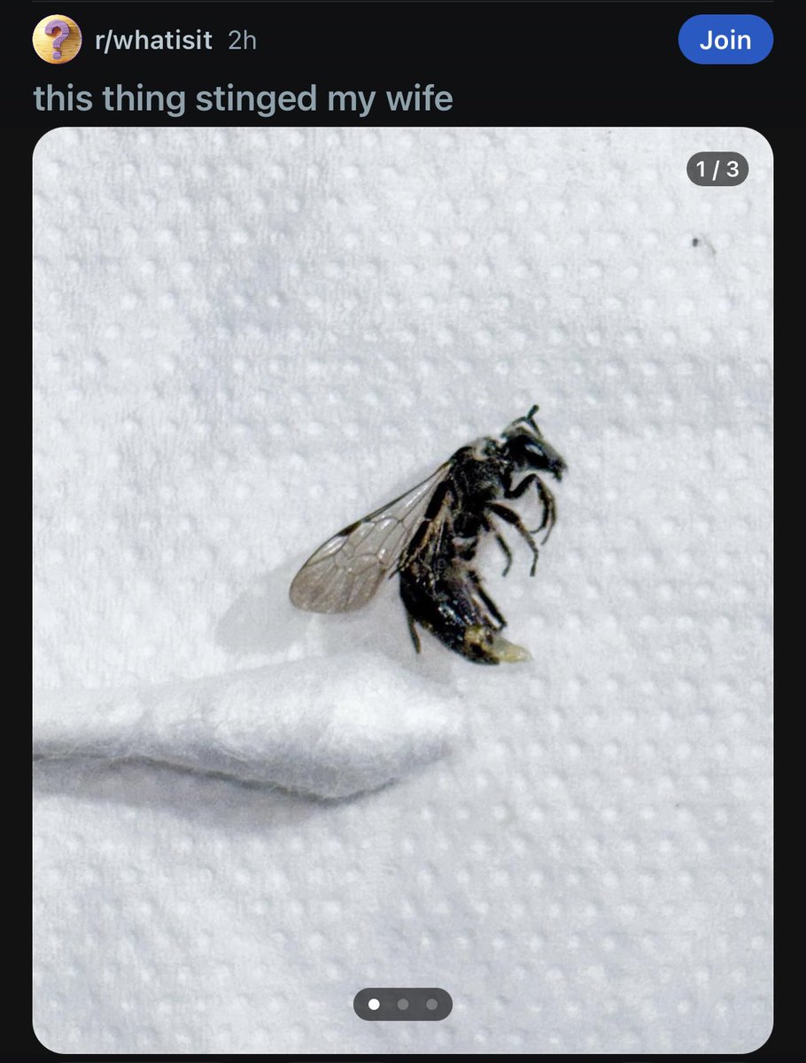 henrygoodsir's tweet image. FTF