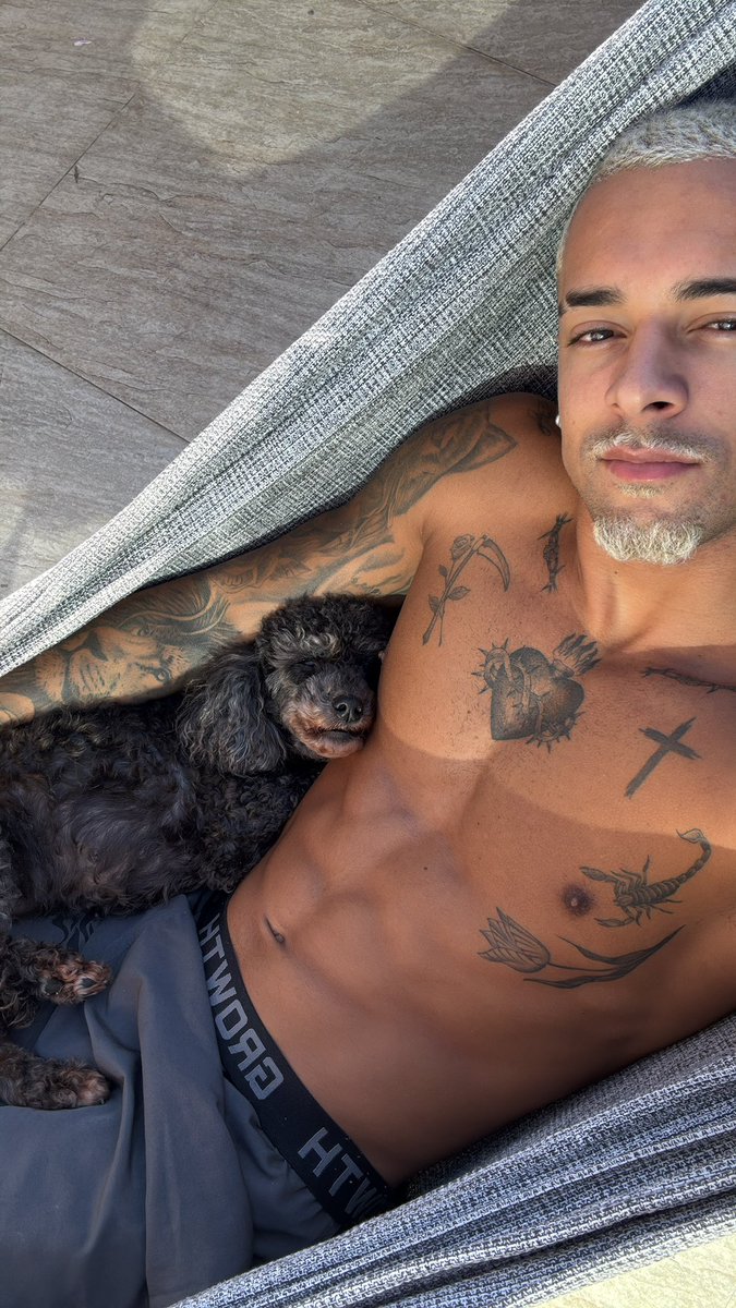 wlguimaraess's tweet image. 