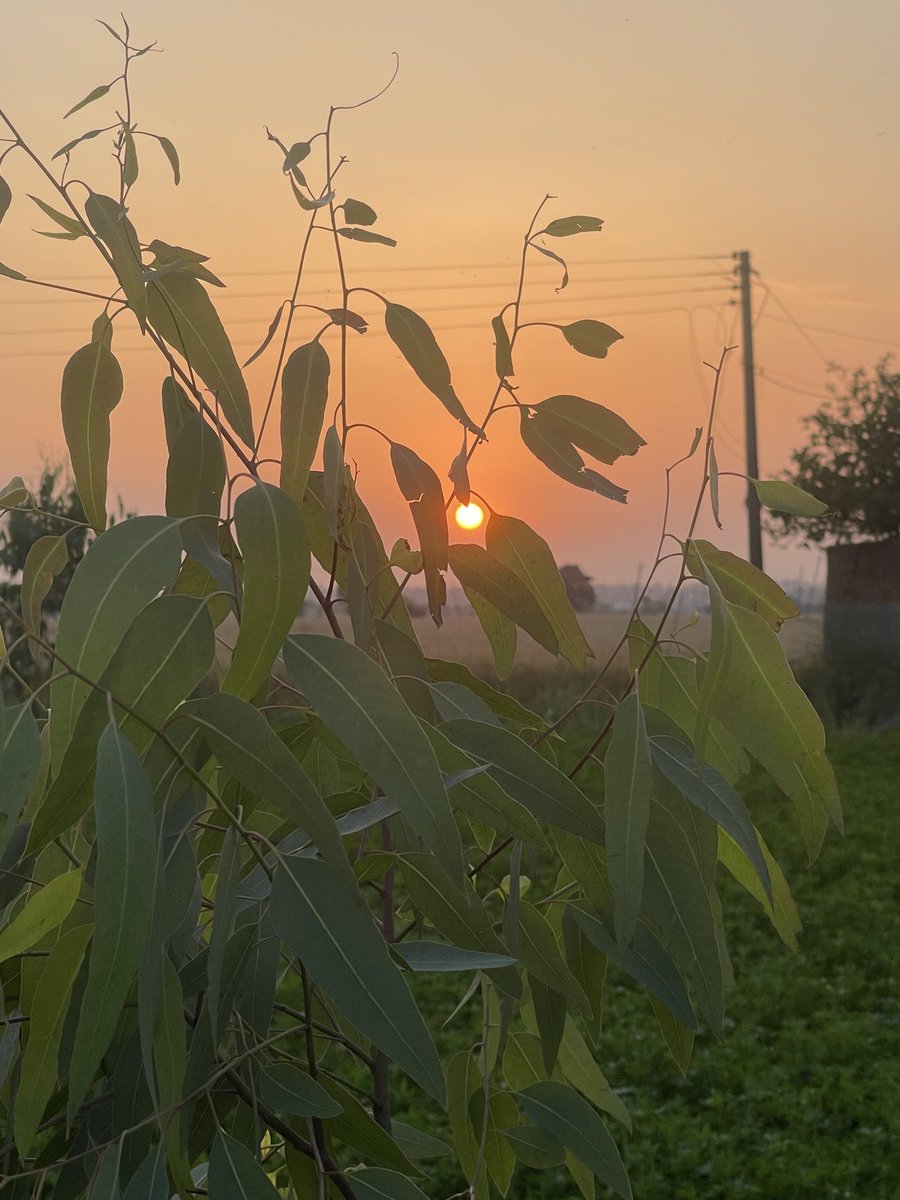 ਜਤਿੰਦਰਸਿੰਘਗੁਰਾਇਆJatinderGoraya tweet media