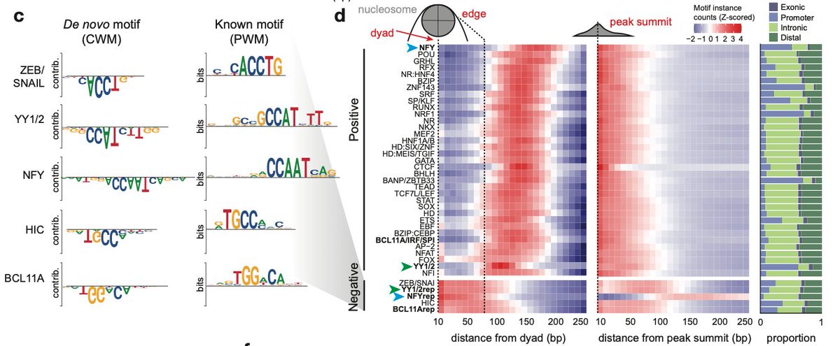 Betty Liu tweet media