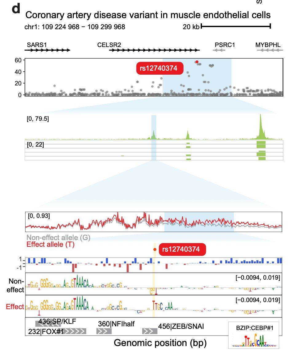 Betty Liu tweet media