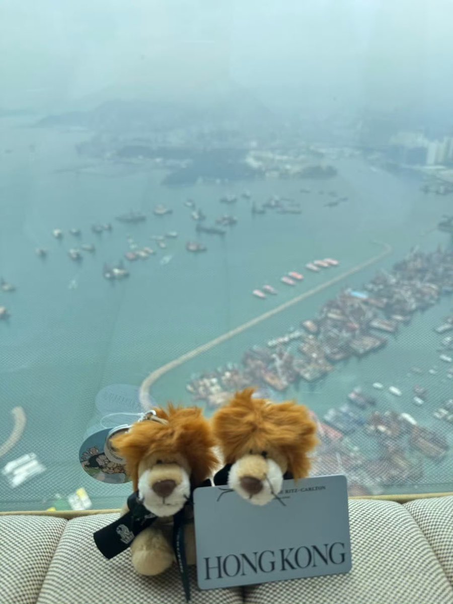 miu miu 小姐 tweet media