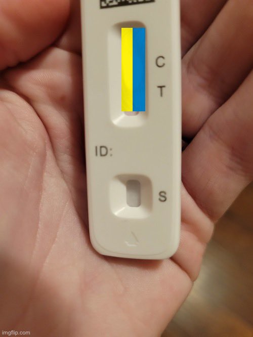 michaeldweiss's tweet image. Fico and Vucic caught the same bug before Victory Day.