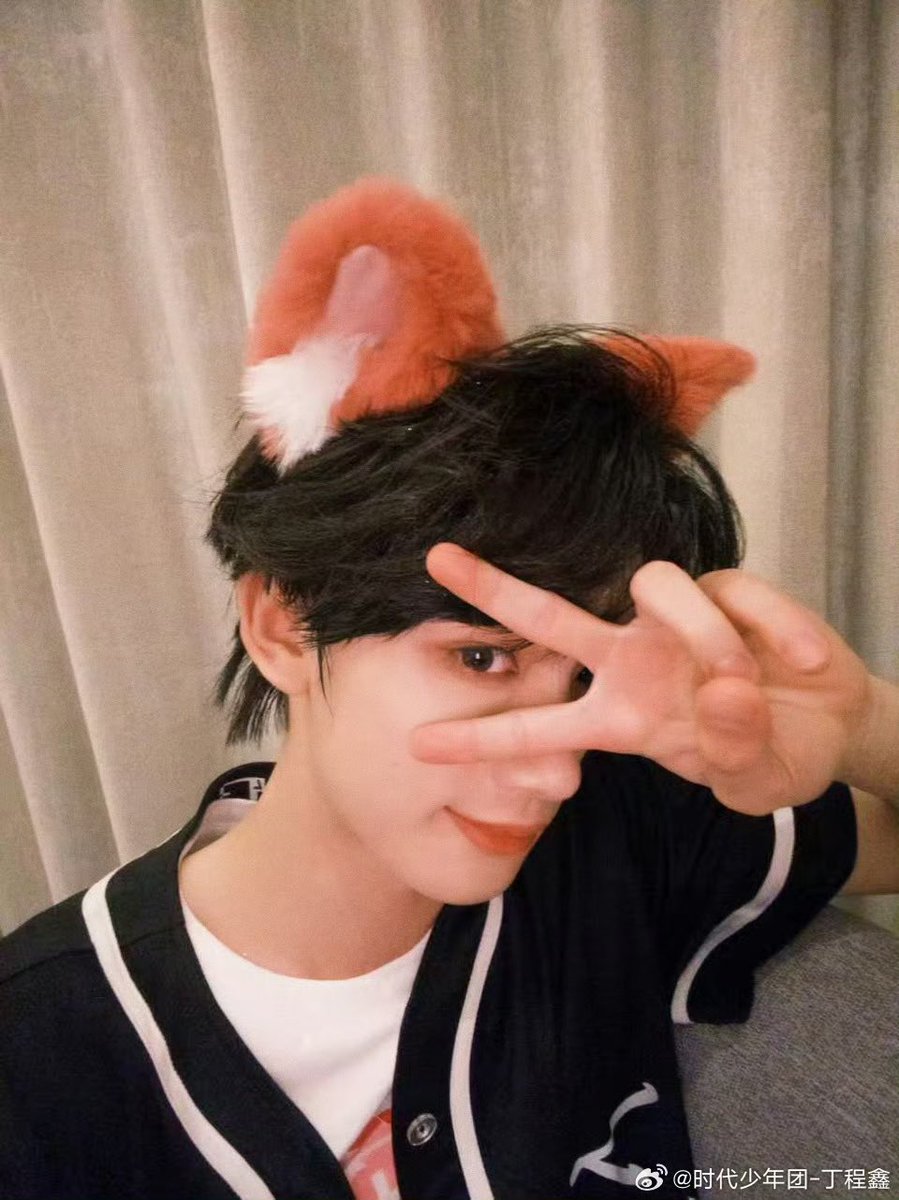 HONEYdcx's tweet photo. 狐狸晚安💛 https://t.co/S8Bz0my9a5