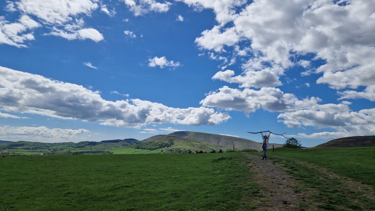 Sula Ross tweet media