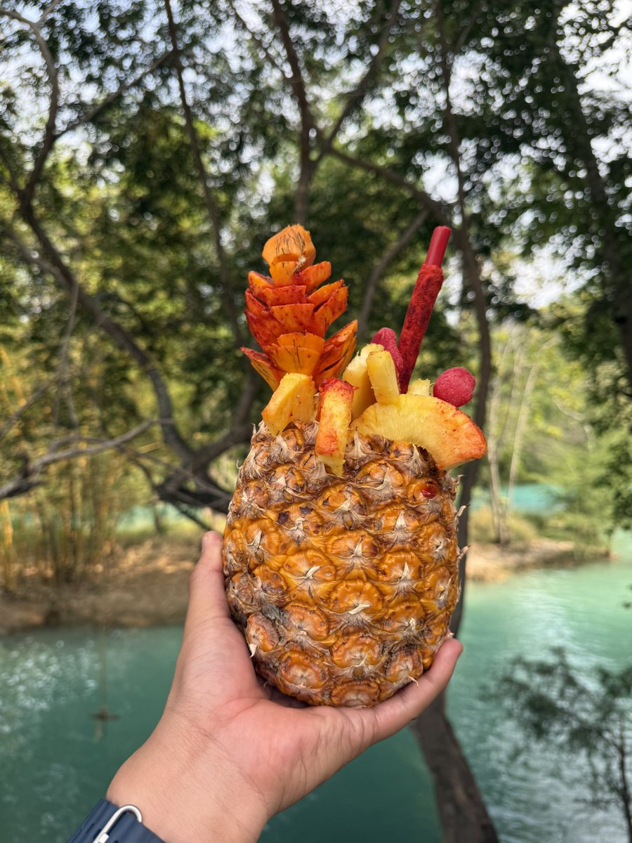 AlanPatena's tweet photo. 🍍 https://t.co/hCwk1bEkqd
