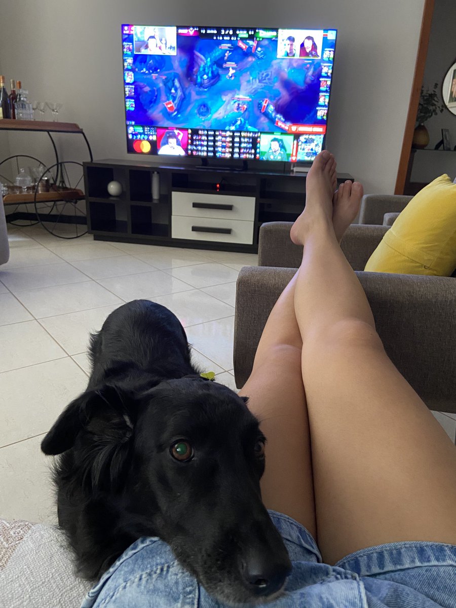 BellBittersweet's tweet image. Pituca não perde um fim de semana #LTASul #ilhadaslendas #BainoTV