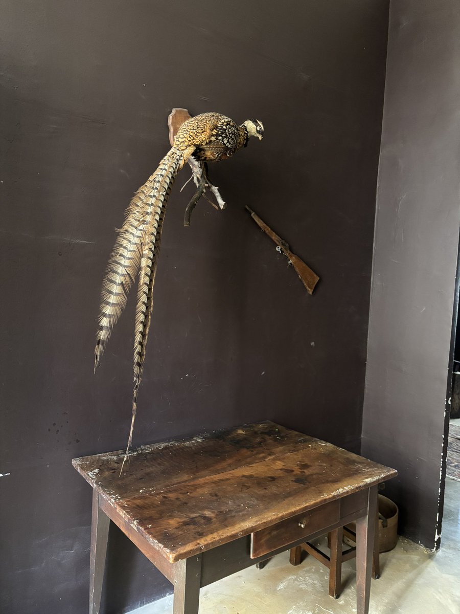 Sid Rhule tweet media