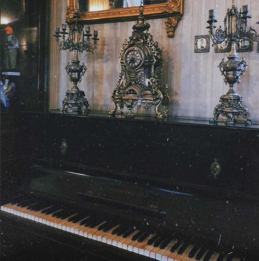 He couldn’t read the notes. Lucky for us, I don’t need sheet music. 🎹✨

#ChrisRedfield #REBHFun