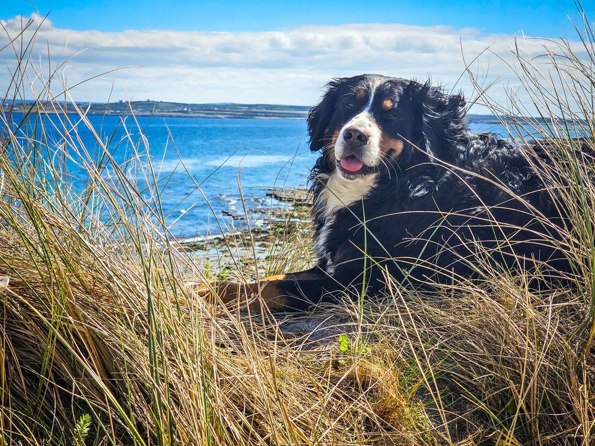 Bailey delighted with her day on Inis Meáin 💕