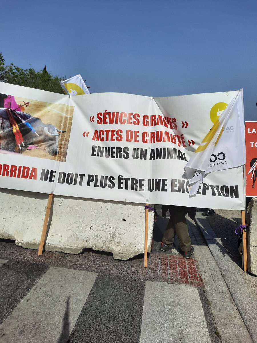 Bijon valerie (@valeriebijon) on Twitter photo CET APRES MIDI ,NOUS ETIONS À BEZIERS AVEC LE <a href="/BeziersColbac/">COLBAC Anti Corrida Béziers</a> POUR DENONCER LA TORTURE DE JEUNES TAUREAUX ( NOVILLADA) QUI SE DEROULAIT PENDANT LA FERIA OF .
HONTE À <a href="/VilleDeBeziers/">Ville de Béziers</a>
<a href="/HenryJeanServat/">Henry-Jean Servat</a>
<a href="/MaitreGerard/">Maitre Christophe Gerard</a>
<a href="/Bastet3413/">Bastet</a>
<a href="/CaronAymericoff/">Aymeric Caron</a> CET APRES MIDI ,NOUS ETIONS À BEZIERS AVEC LE <a href="/BeziersColbac/">COLBAC Anti Corrida Béziers</a> POUR DENONCER LA TORTURE DE JEUNES TAUREAUX ( NOVILLADA) QUI SE DEROULAIT PENDANT LA FERIA OF .
HONTE À <a href="/VilleDeBeziers/">Ville de Béziers</a>
<a href="/HenryJeanServat/">Henry-Jean Servat</a>
<a href="/MaitreGerard/">Maitre Christophe Gerard</a>
<a href="/Bastet3413/">Bastet</a>
<a href="/CaronAymericoff/">Aymeric Caron</a>