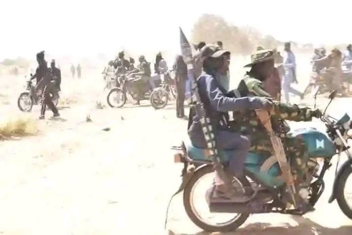 Dozens pf bandit kingpins Currently holding meeting in forest near Kaura Namoda – Source

By: Zagazola Makama 

Intelligence sources have revealed that several notorious bandit kingpins are currently holding a strategic meeting in a forest enclave west of Kaura Namoda Local