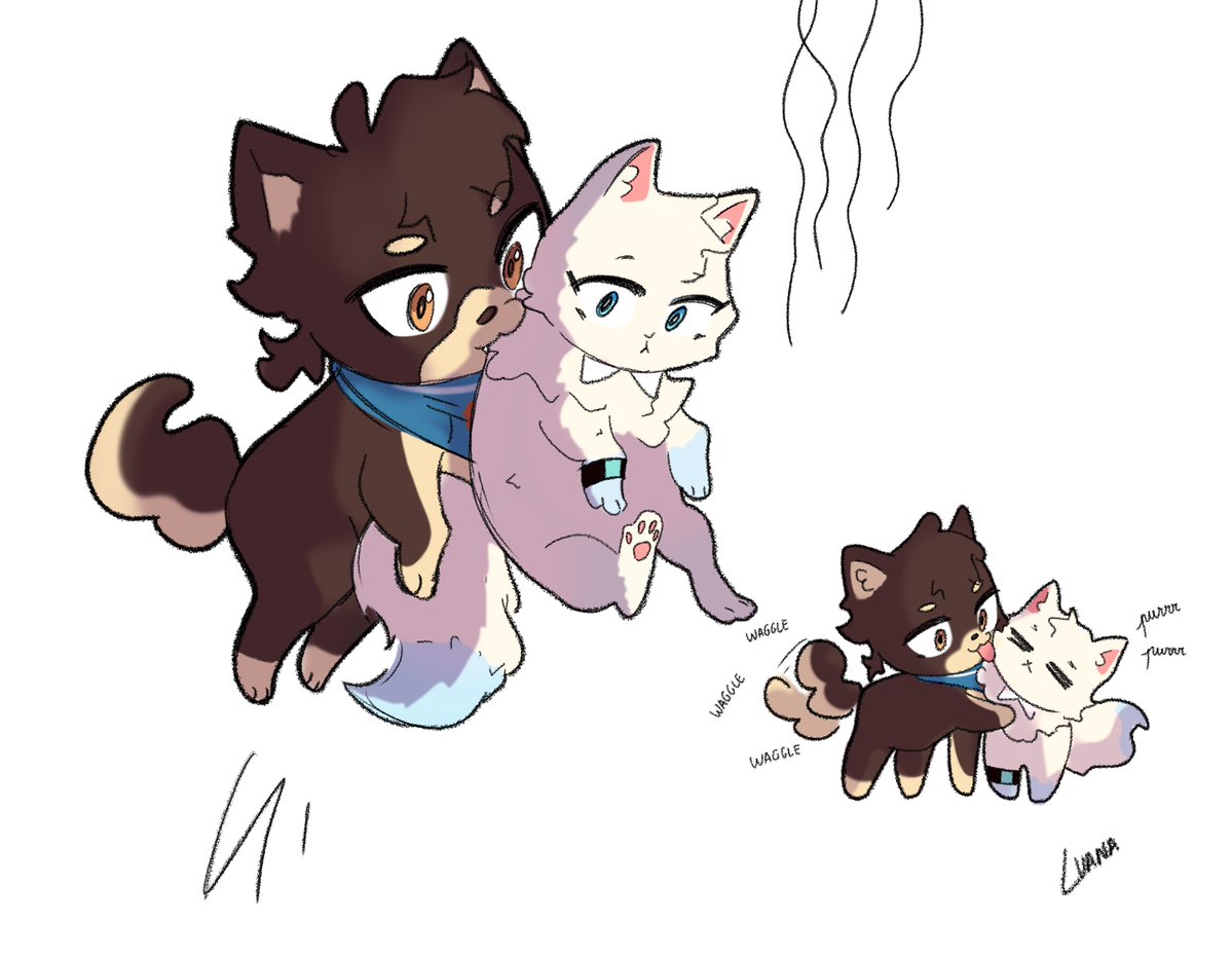 Kitty is finally safe! 
#程光 #shiguang