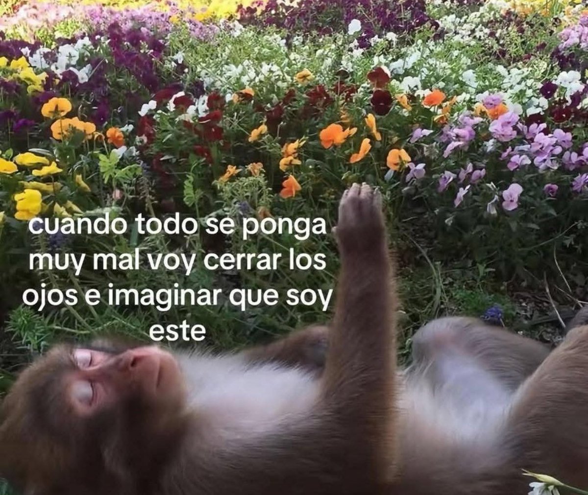 skereunpesado's tweet photo. https://t.co/gFIXczFHiP