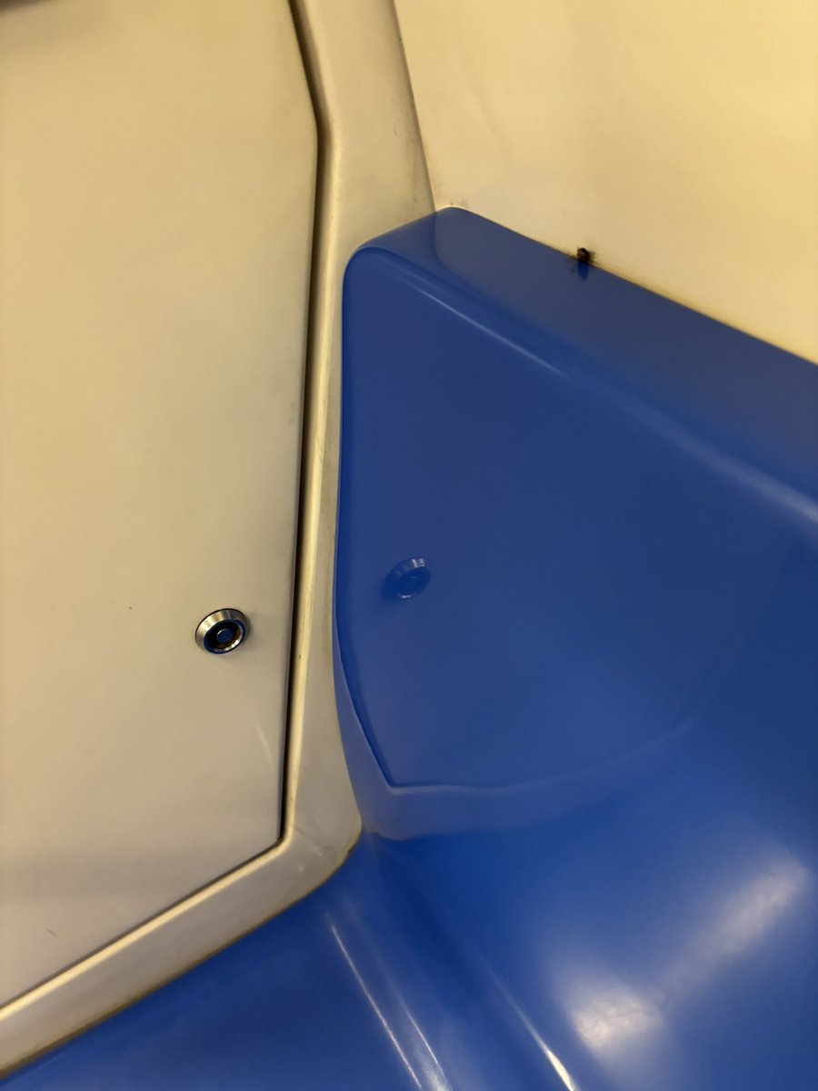 #ChennaiMetro insects crawling in chennai metro sad