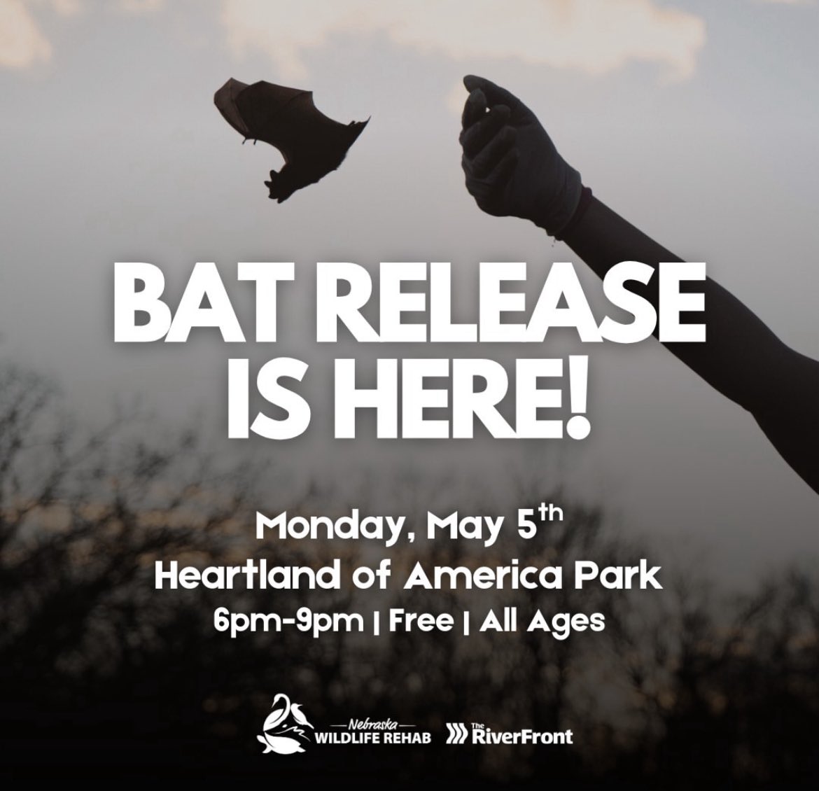 BAT RELEASE IS MONDAY!! 🦇 Join us May 5, 6-9pm at the Omaha RiverFront in Heartland of America Park alongside the skate ribbon for Bats Over Omaha, a free event.

There will be food trucks, educational tables, children's activities, gift shopping &amp; more!