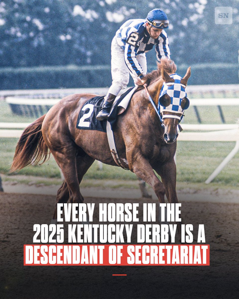 Horses don't stop, they keep going