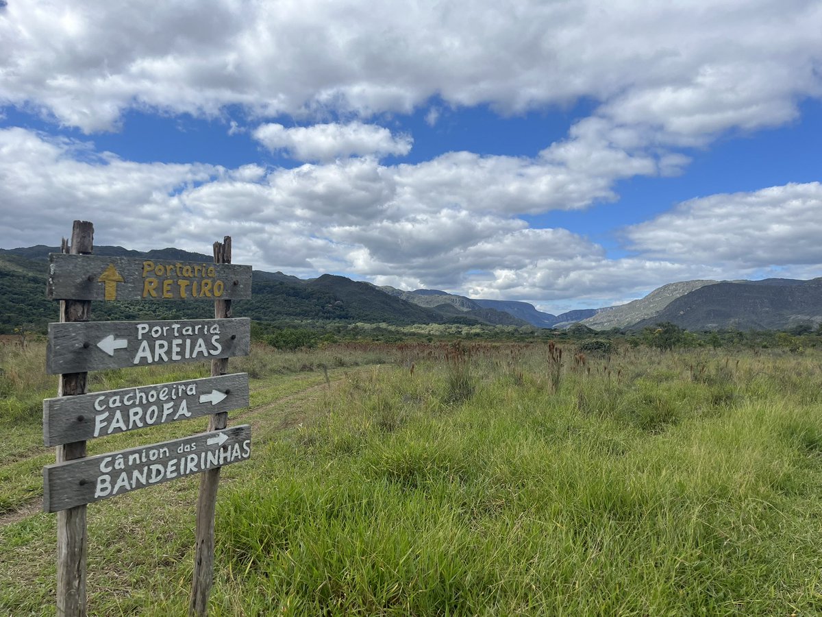 Touching some grass today! ☀️