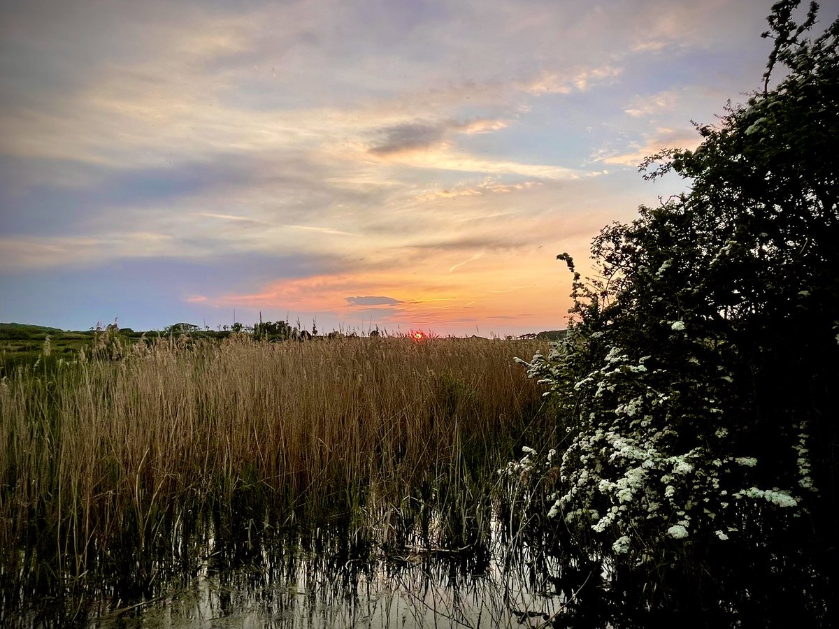 A Hawthorn sunset