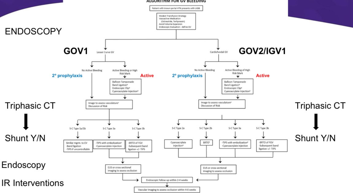 Gastric Varices Management 

▪️GOV1 vs GOV2/IGV1 matters
▪️Active bleed? Start endoscopic control
▪️Use CT to assess vasculature
▪️Triphasic CT → shunt decision
▪️Options: EVL, TIPS, BRTO, CYA, combo

#DDW2025