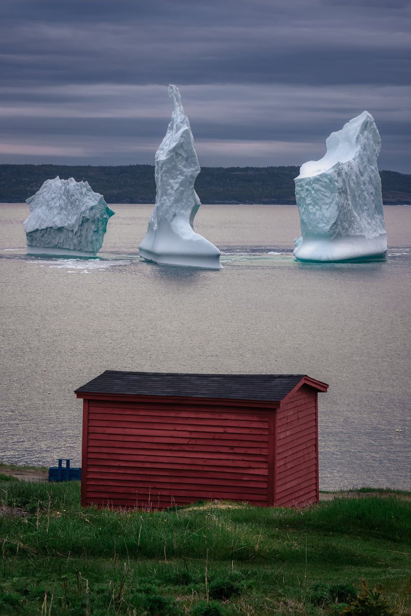 Gord Follett Photography tweet media