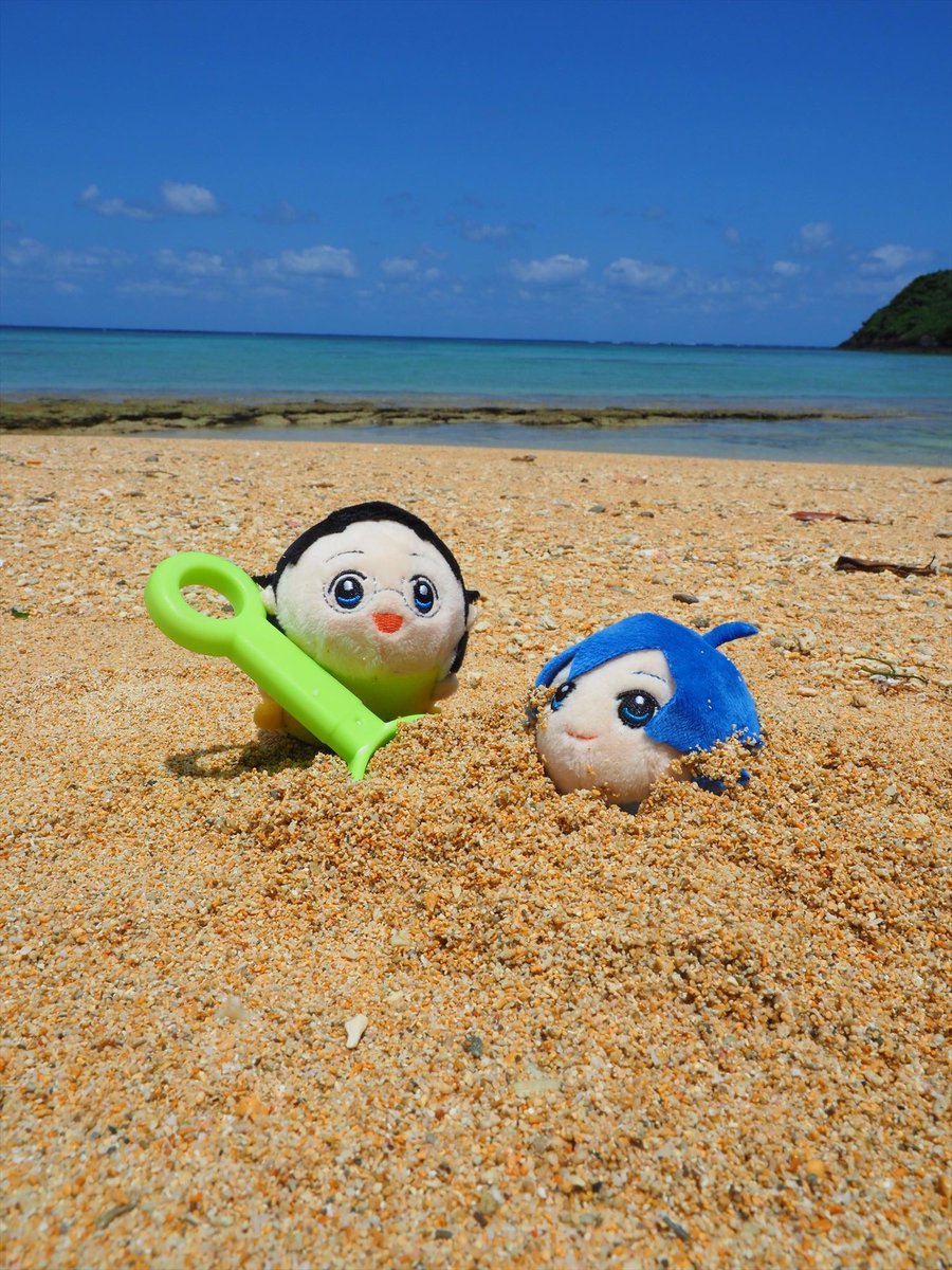 domeko_only's tweet photo. 山坂ちゃぁぁぁぁん！ https://t.co/4emWlwotTJ