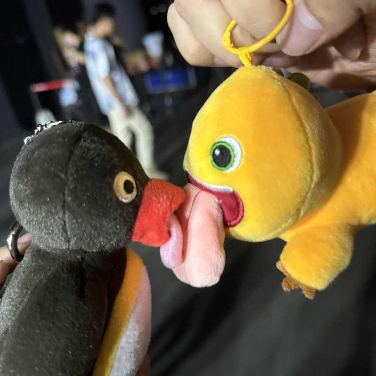 热爱一些抽象派