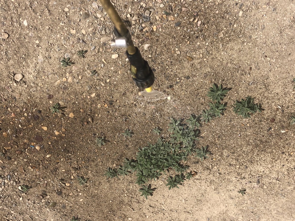 Spraying the yard using green-on-gravel spot spray technology running in manual override mode.