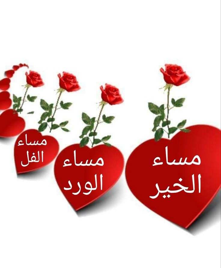 <a href="/jQB7y/">حسن</a>