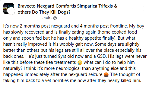 badpetmeds's tweet image. Aftermath of NexGard and Frontline.
#NexGard  #Frontline  #dogsoftwitter