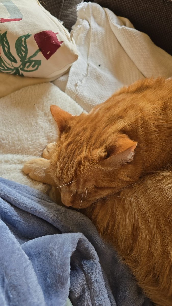 ProdZeit tweet media