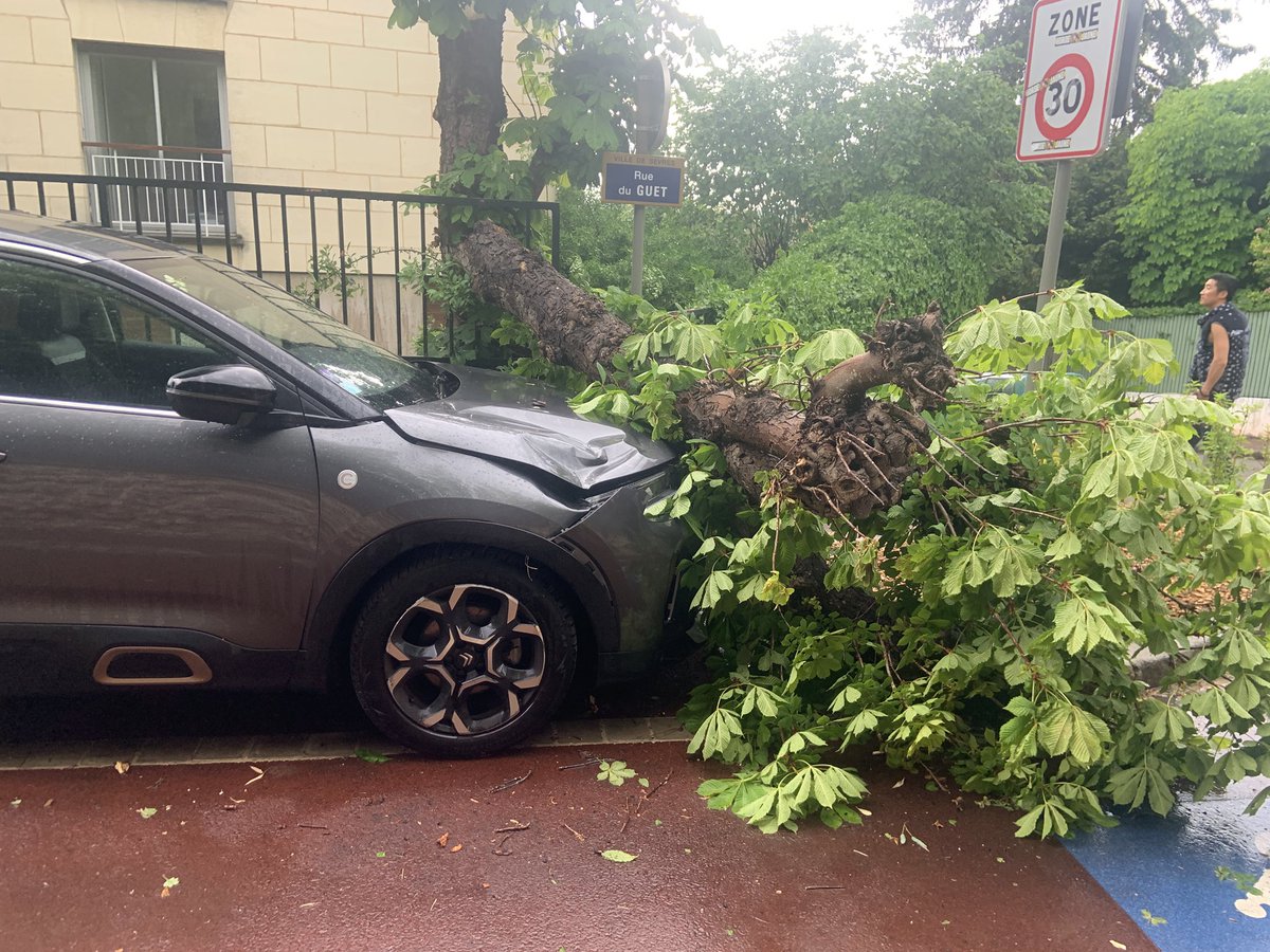 DeKerros's tweet photo. Orage de grêle et dégâts sur Sèvres et dans le parc de Saint-Cloud.
#grêle #orage #extrememeteo #tempetedegrele #idf #Sevres #Saint-Cloud https://t.co/WUqrEtHip6