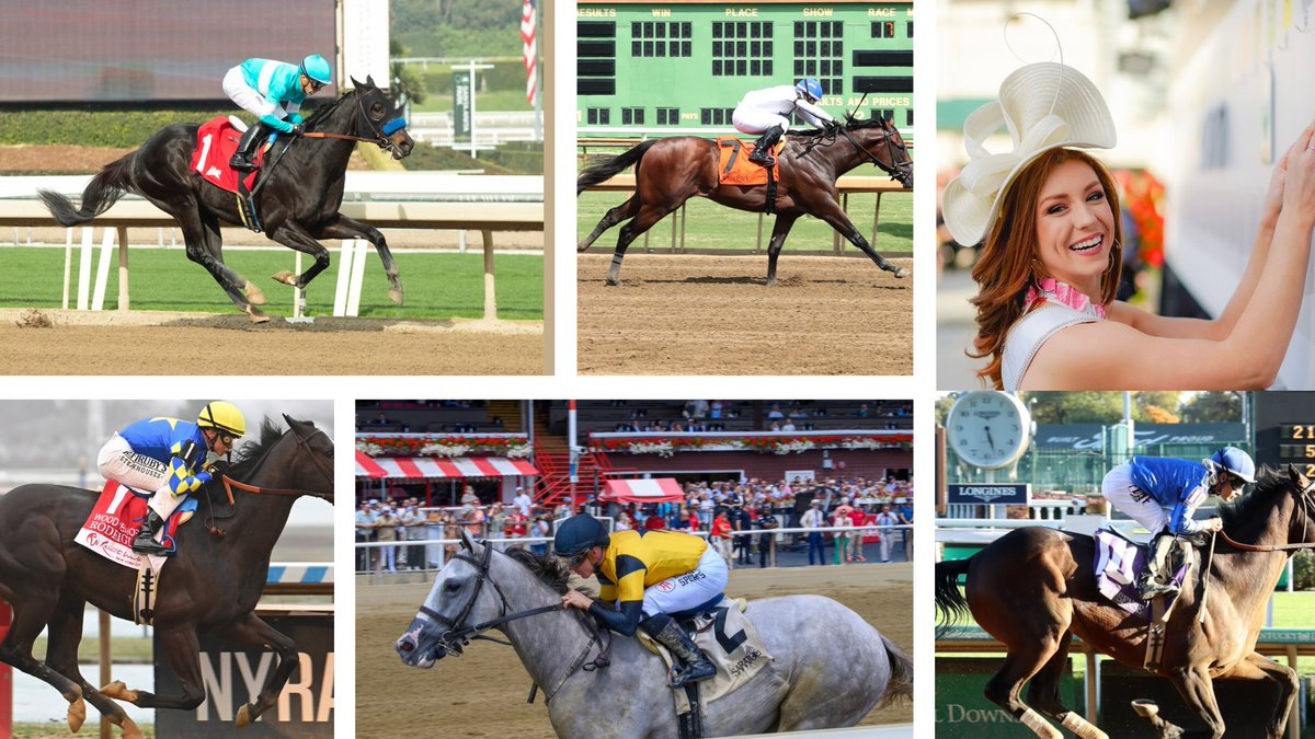 Kentucky Derby 2026 tweet media