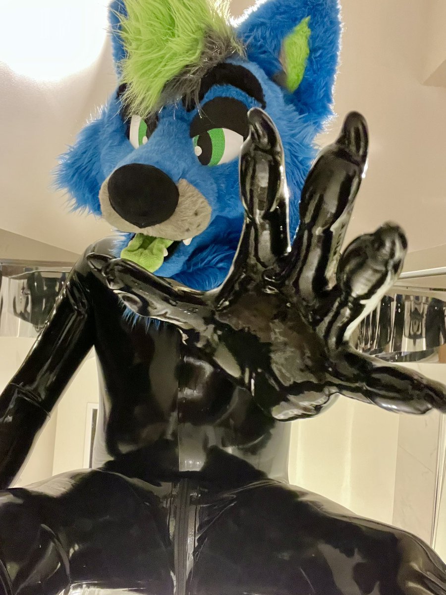Vulcan Riverwolf (@riverwolfvulcan) on Twitter photo This shiny wolf is looking for some snacks and you just happened to be in the right place at the right time~ Get ready for a fun journey in these squeaky paws~ #squeakysaturday
🐾: <a href="/SquirkWerks/">SquirkWerks LLC</a> This shiny wolf is looking for some snacks and you just happened to be in the right place at the right time~ Get ready for a fun journey in these squeaky paws~ #squeakysaturday
🐾: <a href="/SquirkWerks/">SquirkWerks LLC</a>