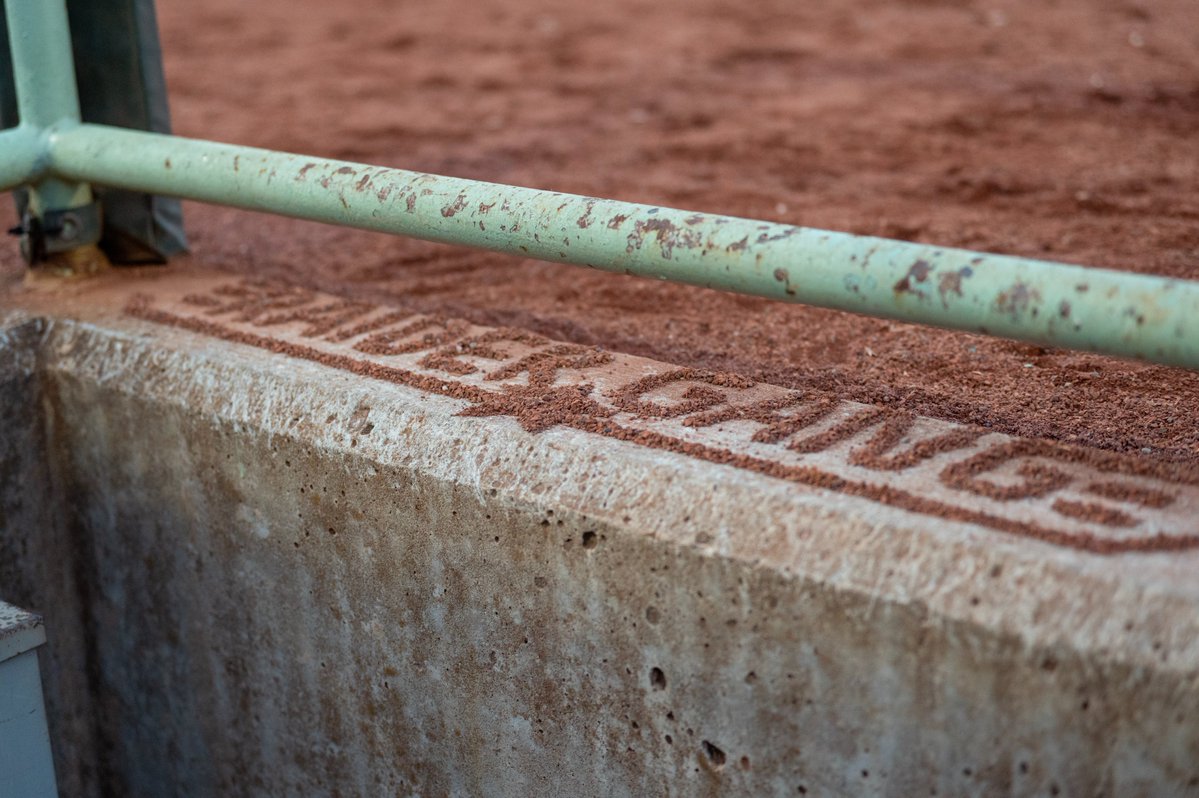 Wright State Baseball tweet media