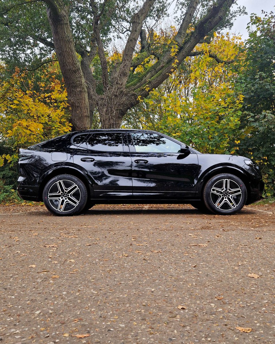 Busseys Norfolk tweet media