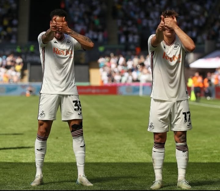 megsscfc's tweet image. 🐐🐐