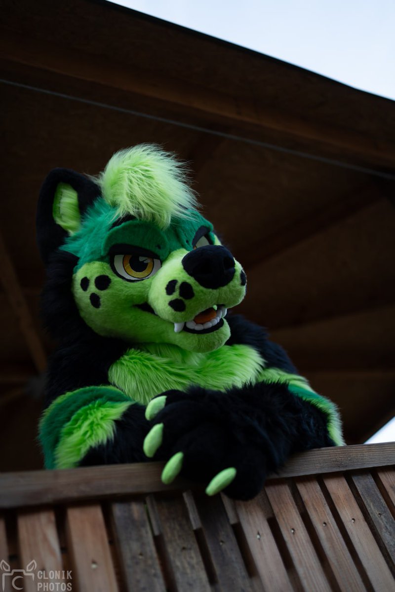 Yes this is Steve Lava Chicken Kiosk 🐔 🌋 

May I take your Order? 

One La-La-La-Lava Chicken ? 

Coming right up ^^ 

#FursuitFriday #LavaChicken 
📸 <a href="/cloniksphotos/">Clonik</a> 
🧵 <a href="/Shrumibo/">Shrumibo 🌿🍄</a>