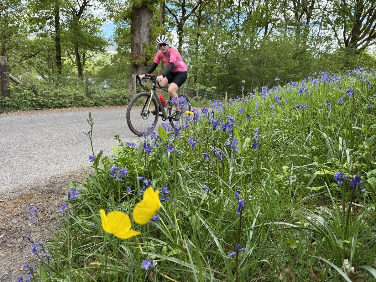 Shaun_Pearson's tweet image. Great day on the Gravel Bikes with Louise Murray Lake Windermere, Coniston Water &amp;amp; Grizdale Loop… 
@merlincycles @HoppersRollers 
🚴‍♂️🚴‍♀️☀️👍