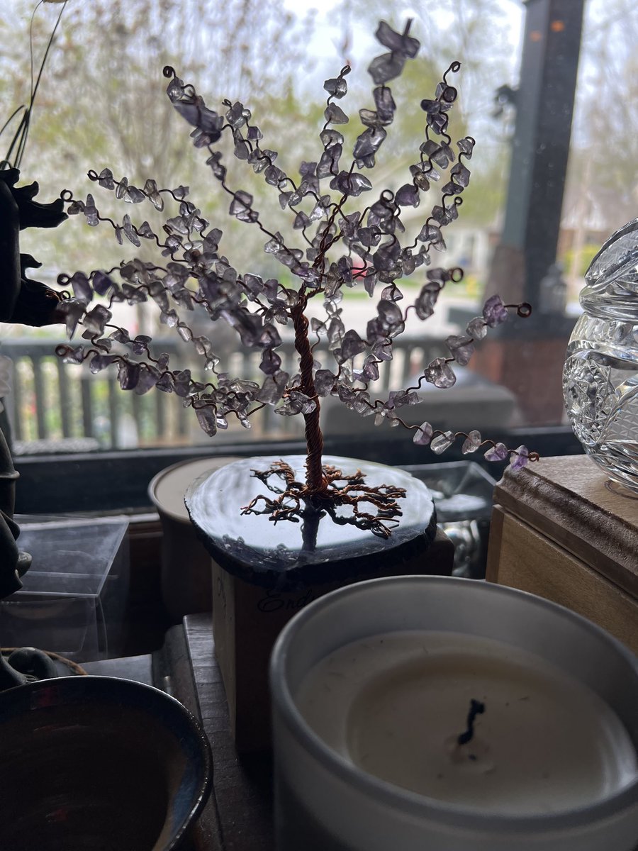 We’re still admiring this beautiful tree we got from you a few years ago.