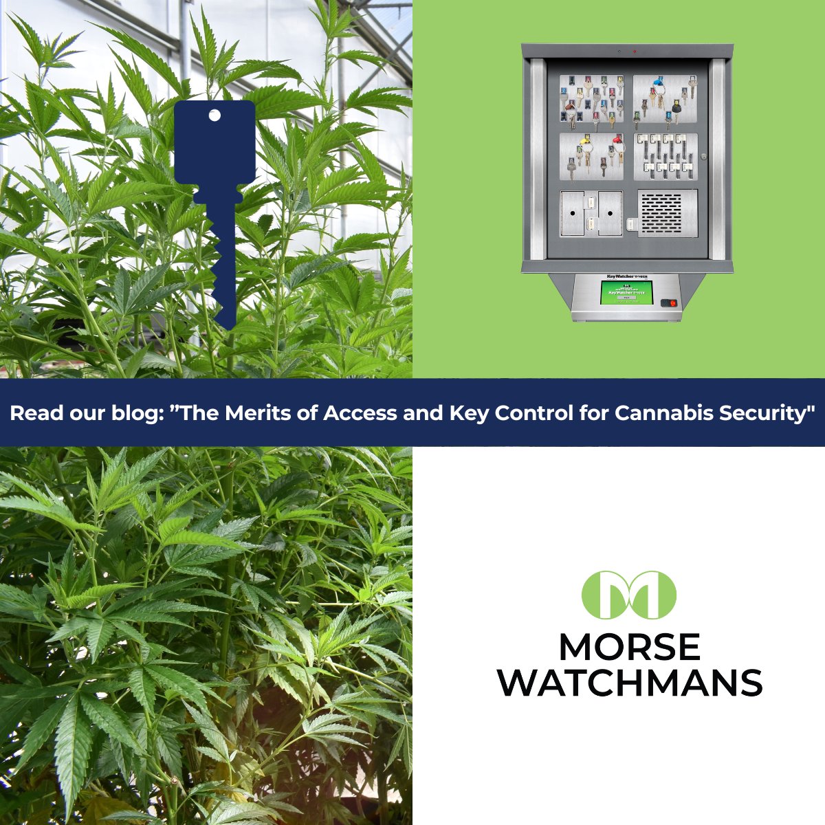 Key Control and Asset Management products that grow with your cannabis enterprise.#CannabisSecurity #KeyControl
hubs.li/Q03jWC7N0