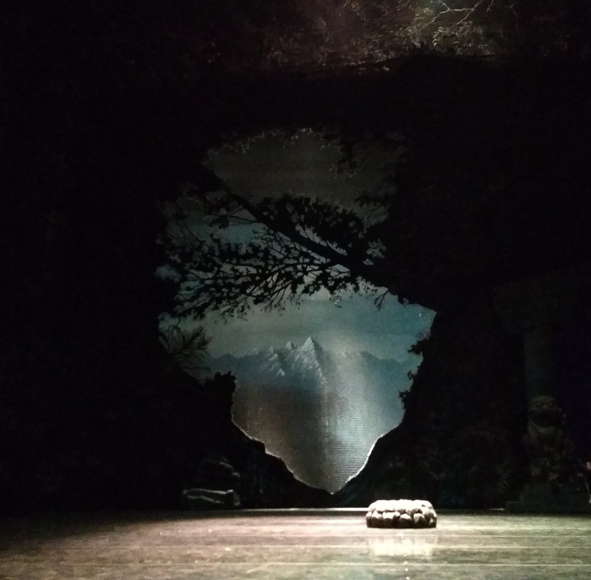 Сегодняшнее представление балета Людвига Минкуса «Баядерка» в редакции Натальи Макаровой (на основе хореографии Мариуса Петипа) на сцене Музыкального театра — 85-е со дня премьеры (18 октября 2013 года).