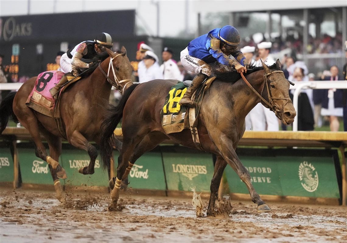 sinopill's tweet photo. Sovereignty has beat Journalism in the Kentucky Derby. God smiles upon us. https://t.co/4JIhyM0FoA