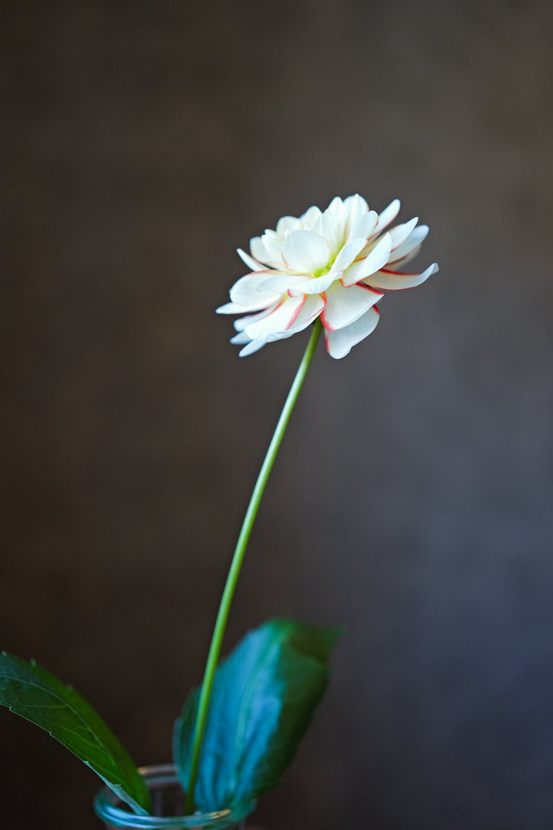 clavius's tweet photo. 何度でも、いつまでも. https://t.co/kt3gFtV7gG